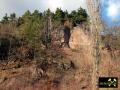 Steinbruch am Schafberg bei Mildenfurth nahe Weida in Thüringen, (D) (9) 20. Februar 2012.JPG